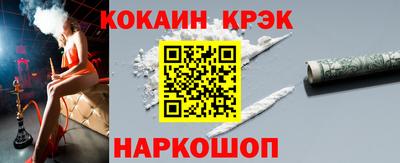 гашик Кингисепп