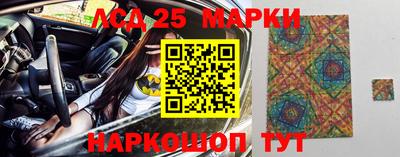 гашик Кингисепп