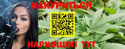 гашик Кингисепп