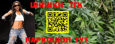 тгк Кимры