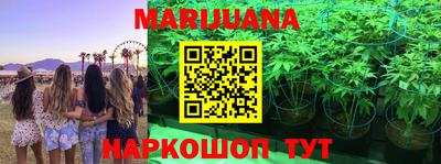 тгк Кимры