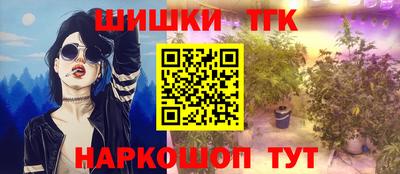 гашик Кингисепп