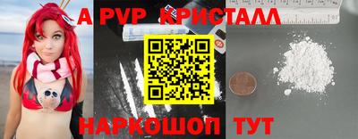 гашик Кингисепп