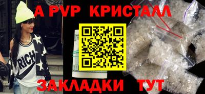 гашик Кингисепп