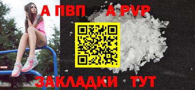 гашик Кингисепп