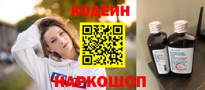 гашик Кингисепп